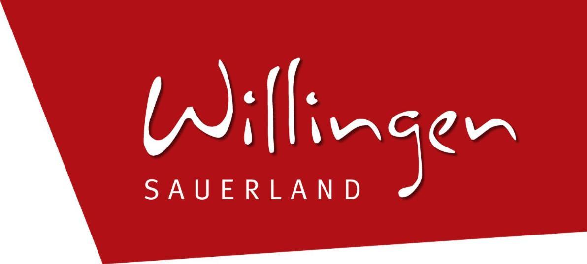 Ferienblockhaus Willingen Mit Meinecardplus Zewnętrze zdjęcie